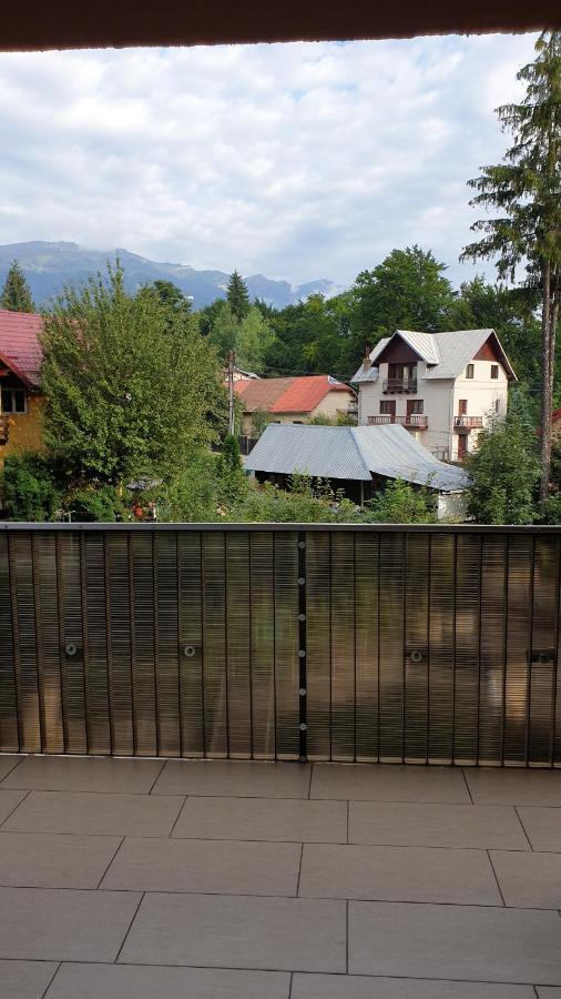 Criss Apartament Sinaia Exterior photo