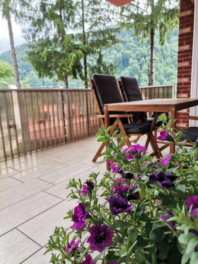 Criss Apartament Sinaia Exterior photo